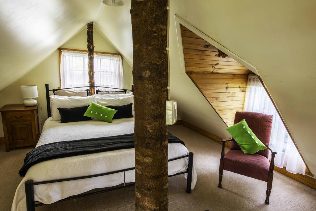 Touchwood Cottages Stanley Exteriör bild